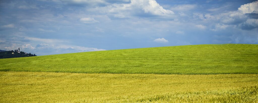 mezőgazdaság- agribiotica-miben-vagyunk-mások